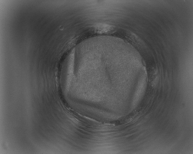 X0000067460510200604211544