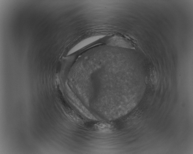 X0000067460512200604211544