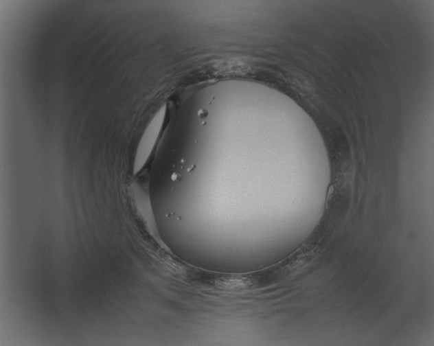 X0000067460513200604211544