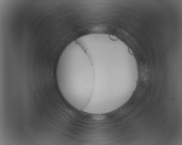 X0000067460514200604211544