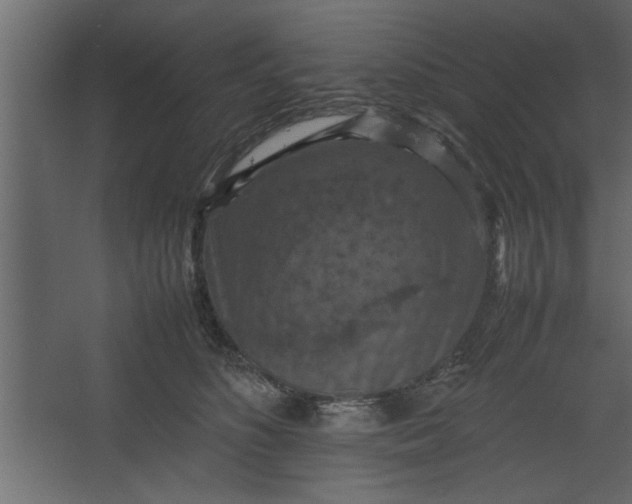 X0000067460516200604211544