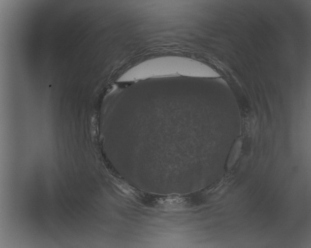 X0000067460517200604211544