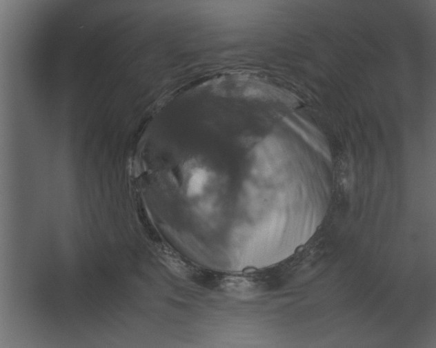 X0000067460519200604211544