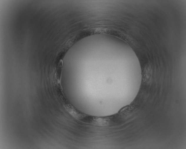 X0000067460522200604211544