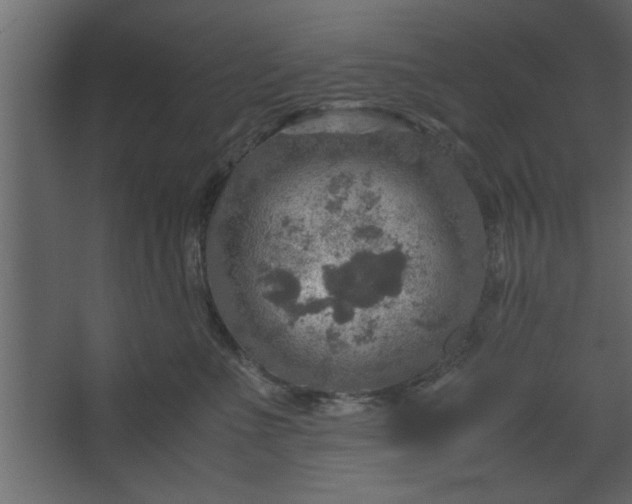 X0000067460523200604211544