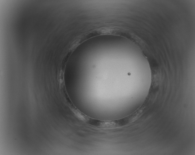 X0000067460525200604211544