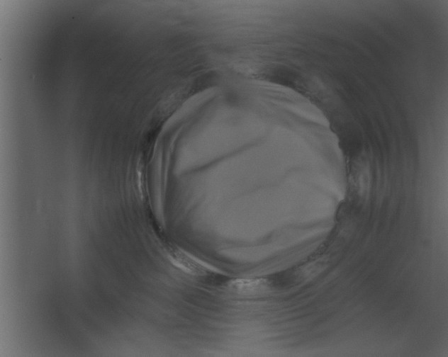 X0000067460526200604211544