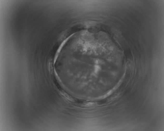 X0000067460527200604211544