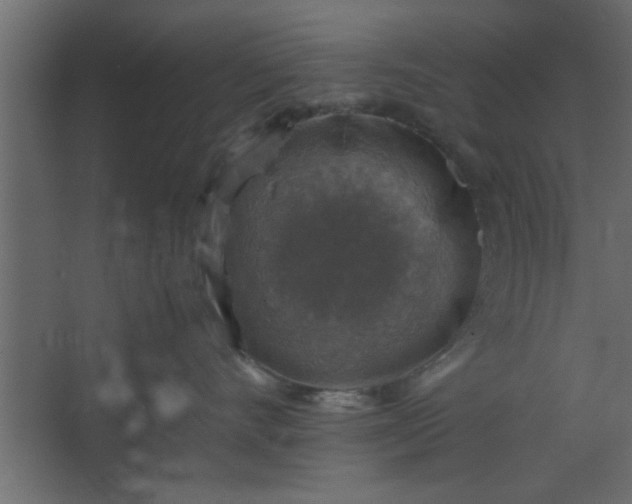 X0000067460528200604211544