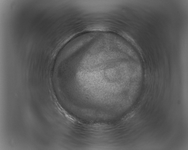 X0000067460529200604211543