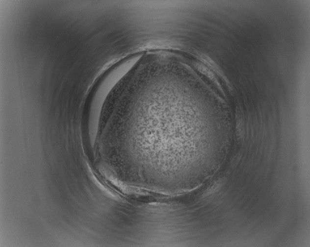 X0000067460530200604211543