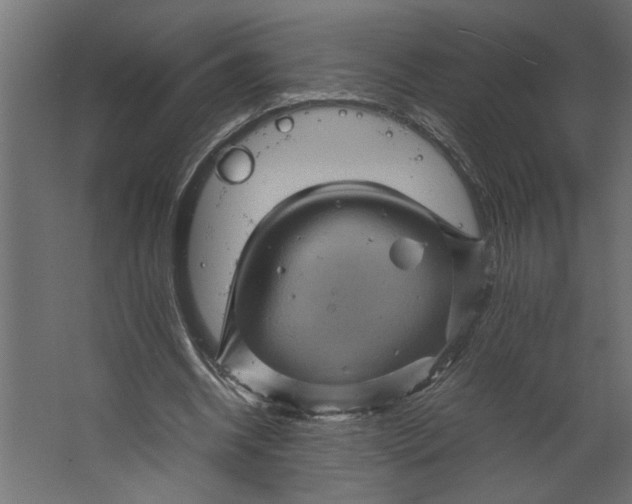 X0000067460534200604211543