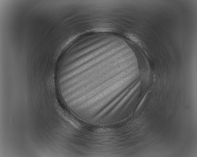 X0000067460535200604211543