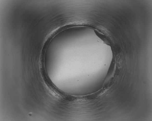 X0000067460536200604211543