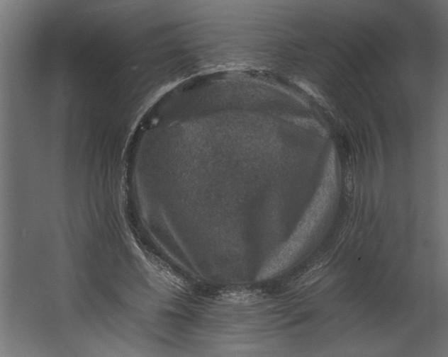 X0000067460540200604211543