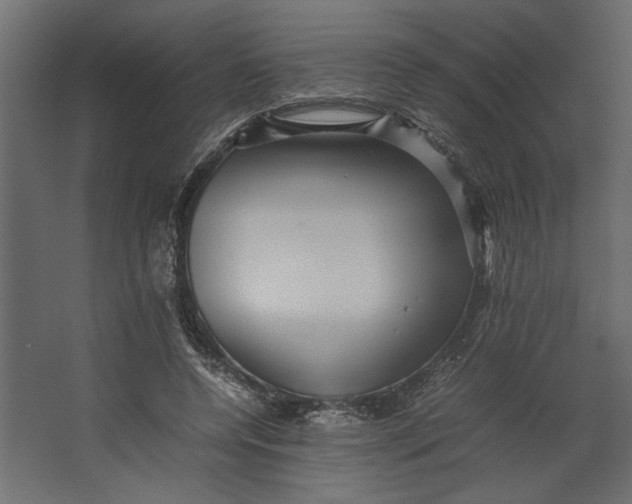 X0000067460544200604211543