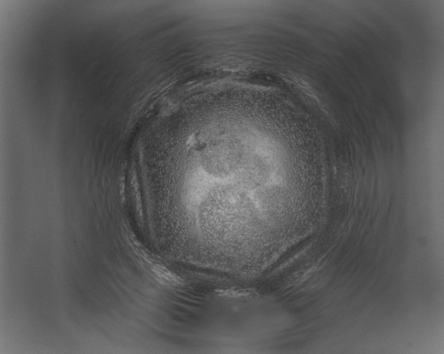 X0000067460545200604211543