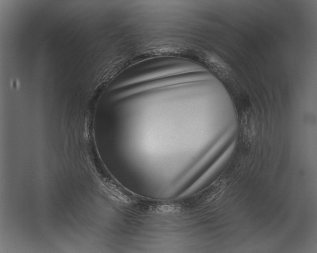 X0000067460546200604211543