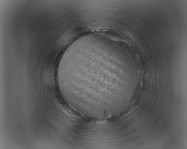 X0000067460548200604211544