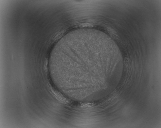 X0000067460550200604211544