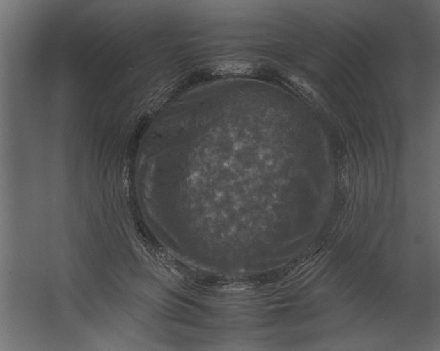 X0000067460551200604211544