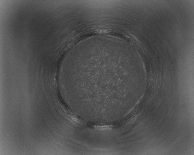 X0000067460553200604211544