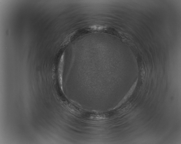 X0000067460559200604211544