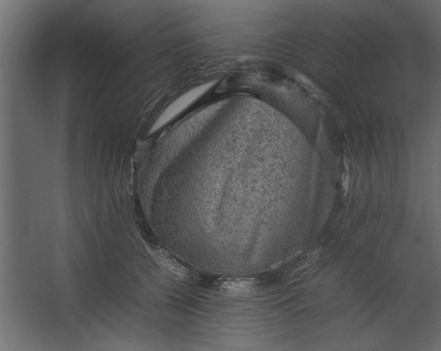 X0000067460560200604211544