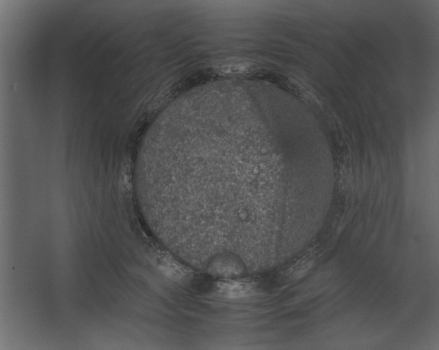 X0000067460561200604211544