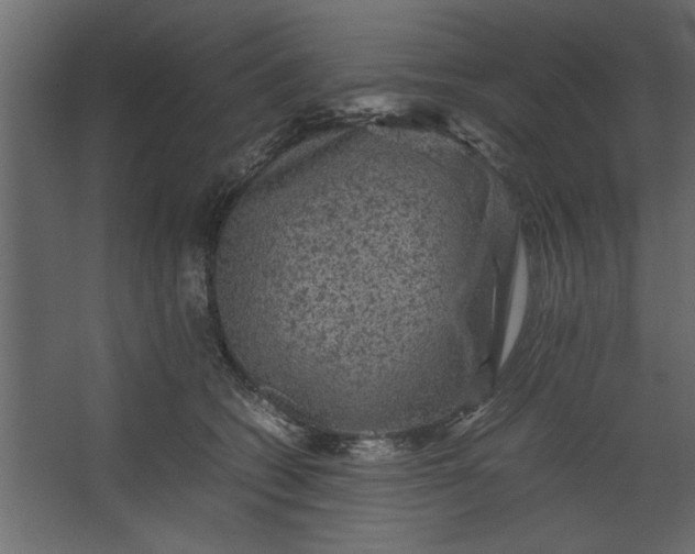 X0000067460562200604211544