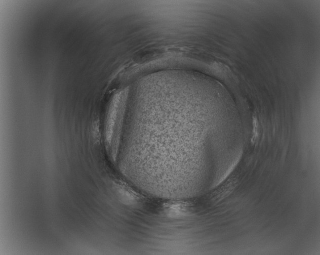 X0000067460564200604211544