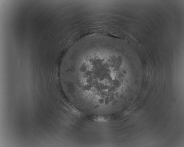 X0000067460565200604211544