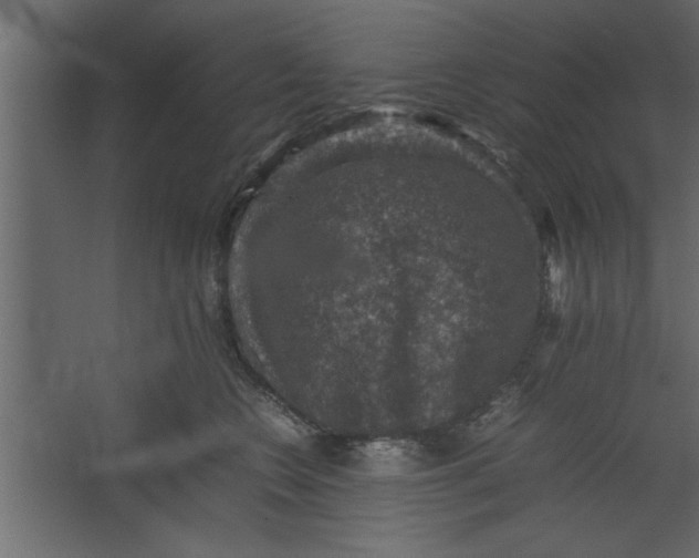 X0000067460566200604211544