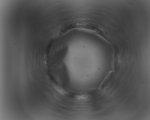 X0000067460567200604211544