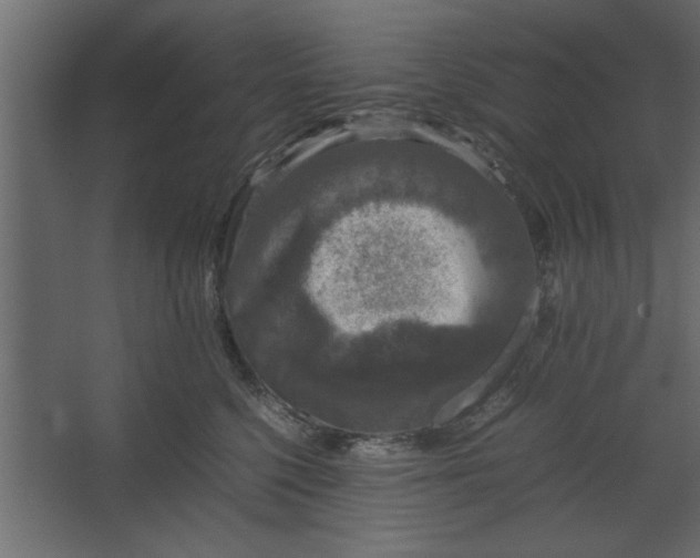 X0000067460568200604211544