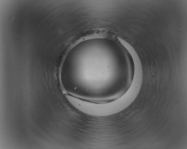 X0000067460570200604211544