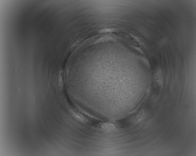 X0000067460572200604211544