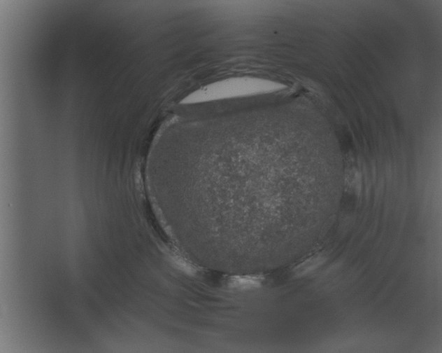 X0000067460573200604211544