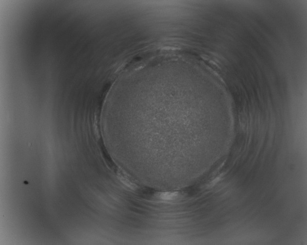 X0000067460575200604211544