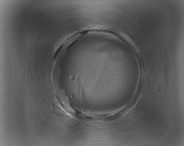 X0000067460577200604211543