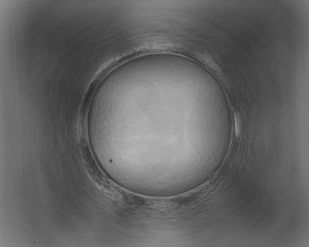 X0000067460579200604211543