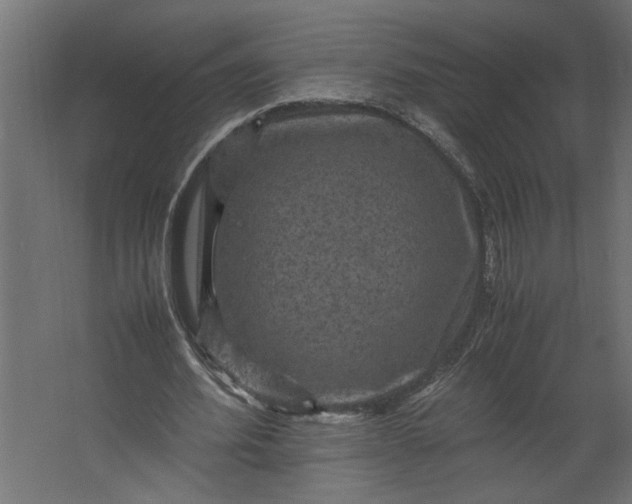 X0000067460580200604211543