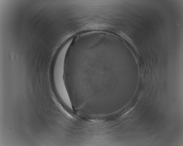 X0000067460581200604211543