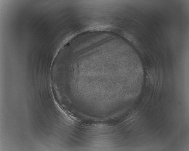 X0000067460582200604211543