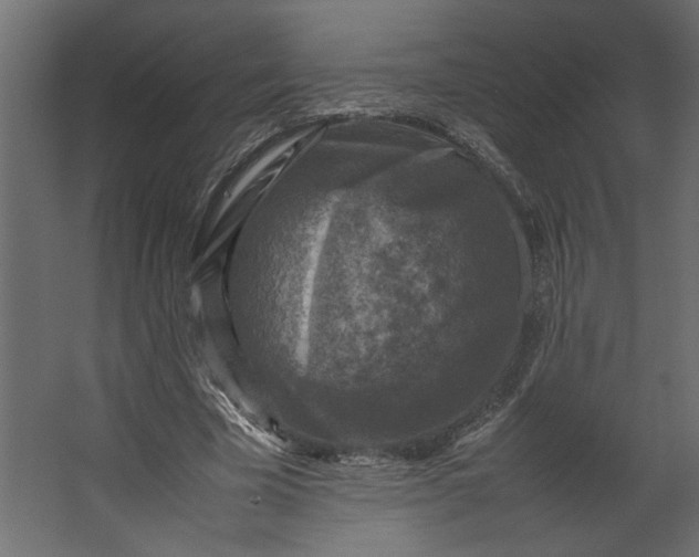 X0000067460585200604211543