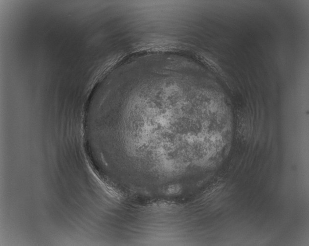 X0000067460586200604211543