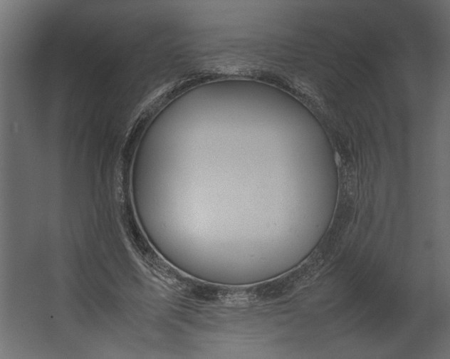 X0000067460587200604211543