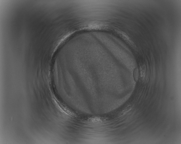 X0000067460588200604211543