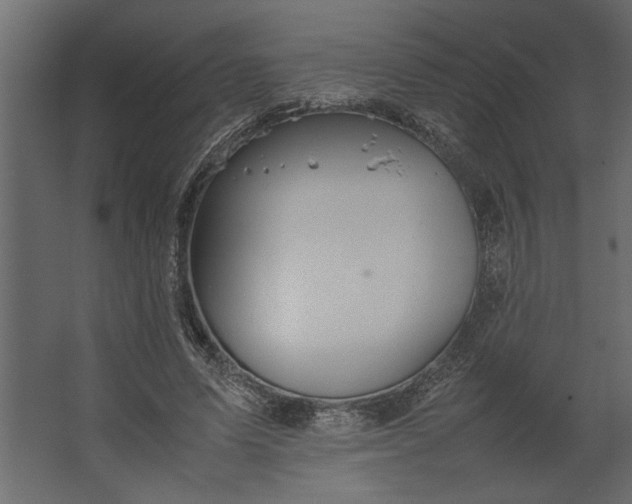 X0000067460591200604211543