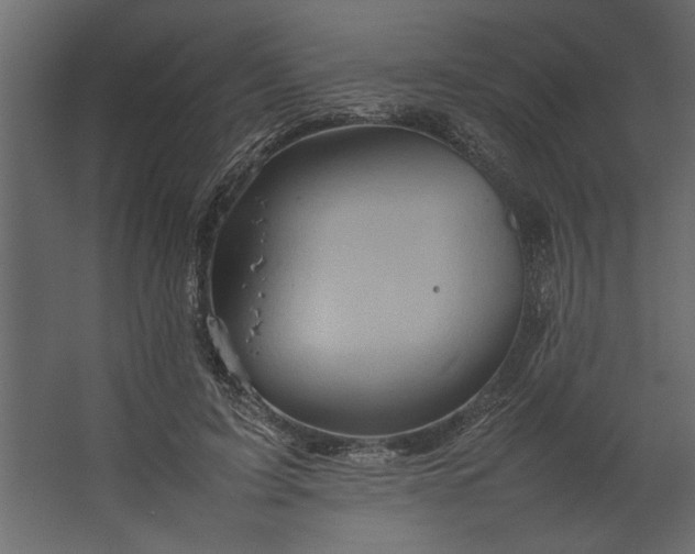 X0000067460595200604211543